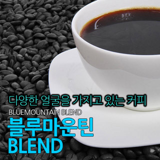 블루마운틴 블렌드 500g