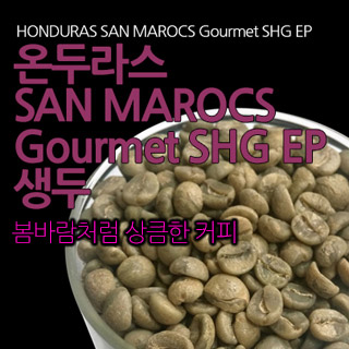 온두라스 SHG 생두 500g